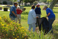 Los Banos Rotary Library Cleanup Day